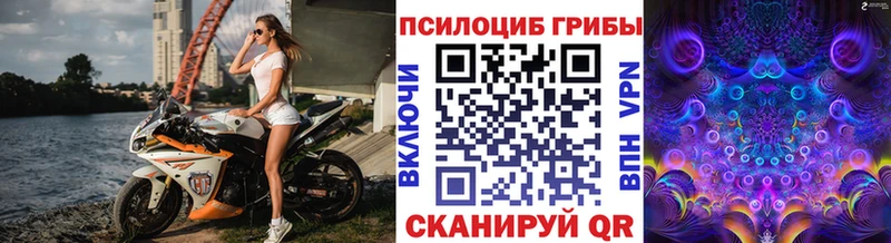 Галлюциногенные грибы Psilocybine cubensis Льгов